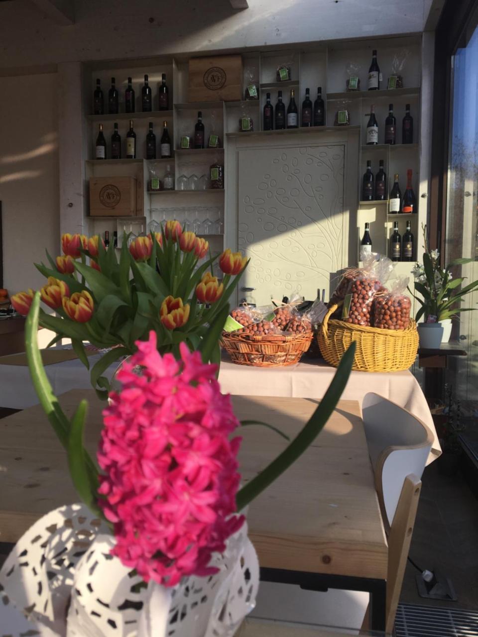 Home Holiday "Da Mamma" Alba  Bagian luar foto
